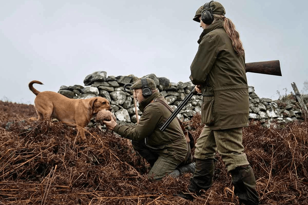 FAQ: Partridge offer, everything you need to know