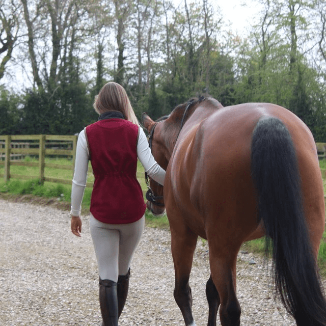 Gunner and Hound Fleeces & Quilted Gilets Gunner and Hound Women's Tweed Gilet Cranberry