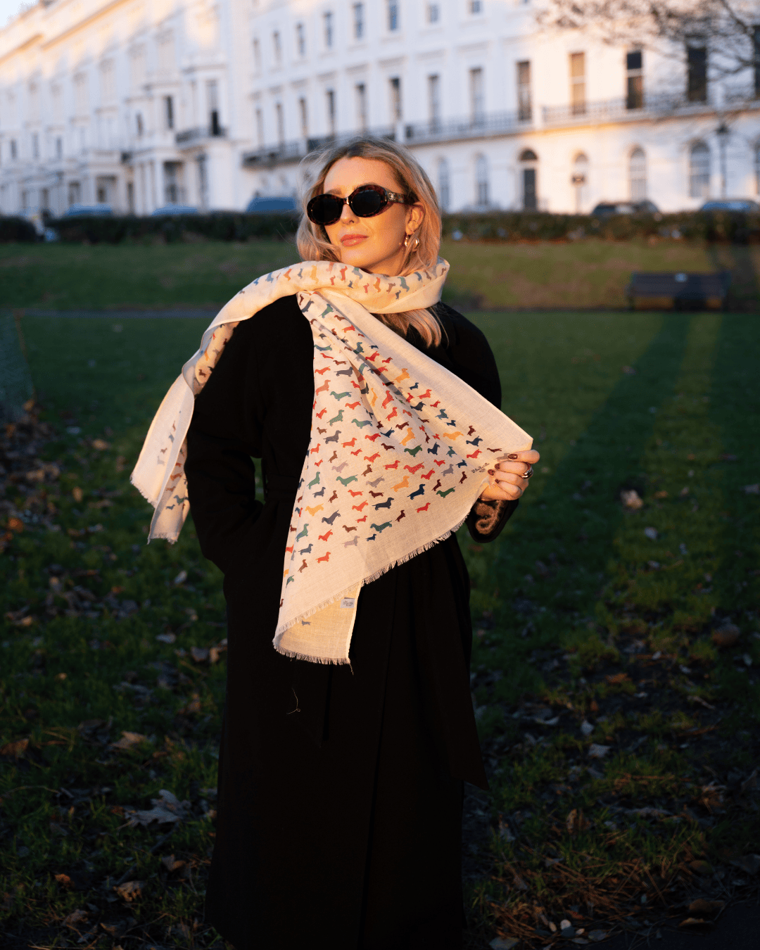 Bishops and Haig Scarves Bishops and Haig Dachshund Artwork Scarf