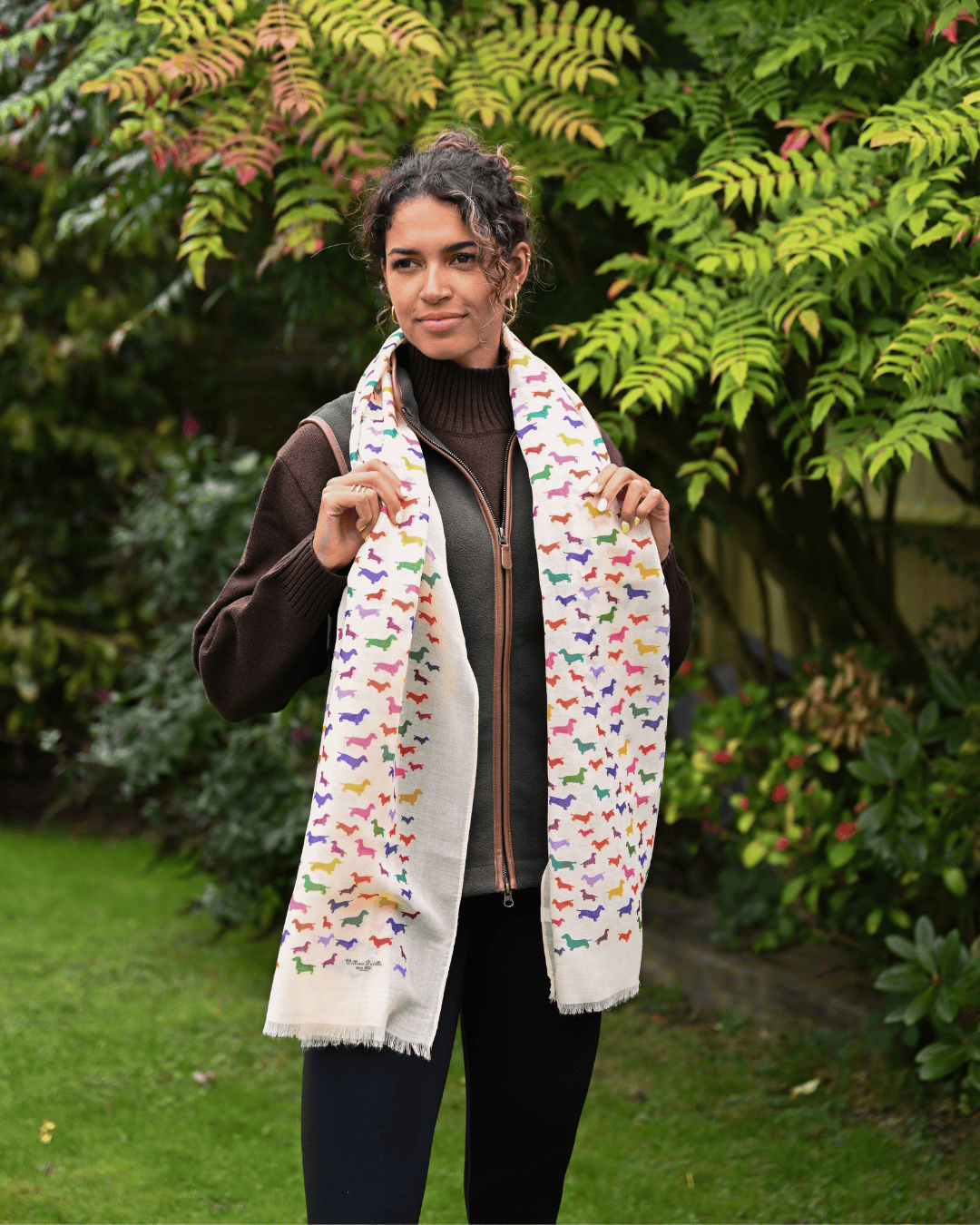 Bishops and Haig Scarves Bishops and Haig Dachshund Artwork Scarf