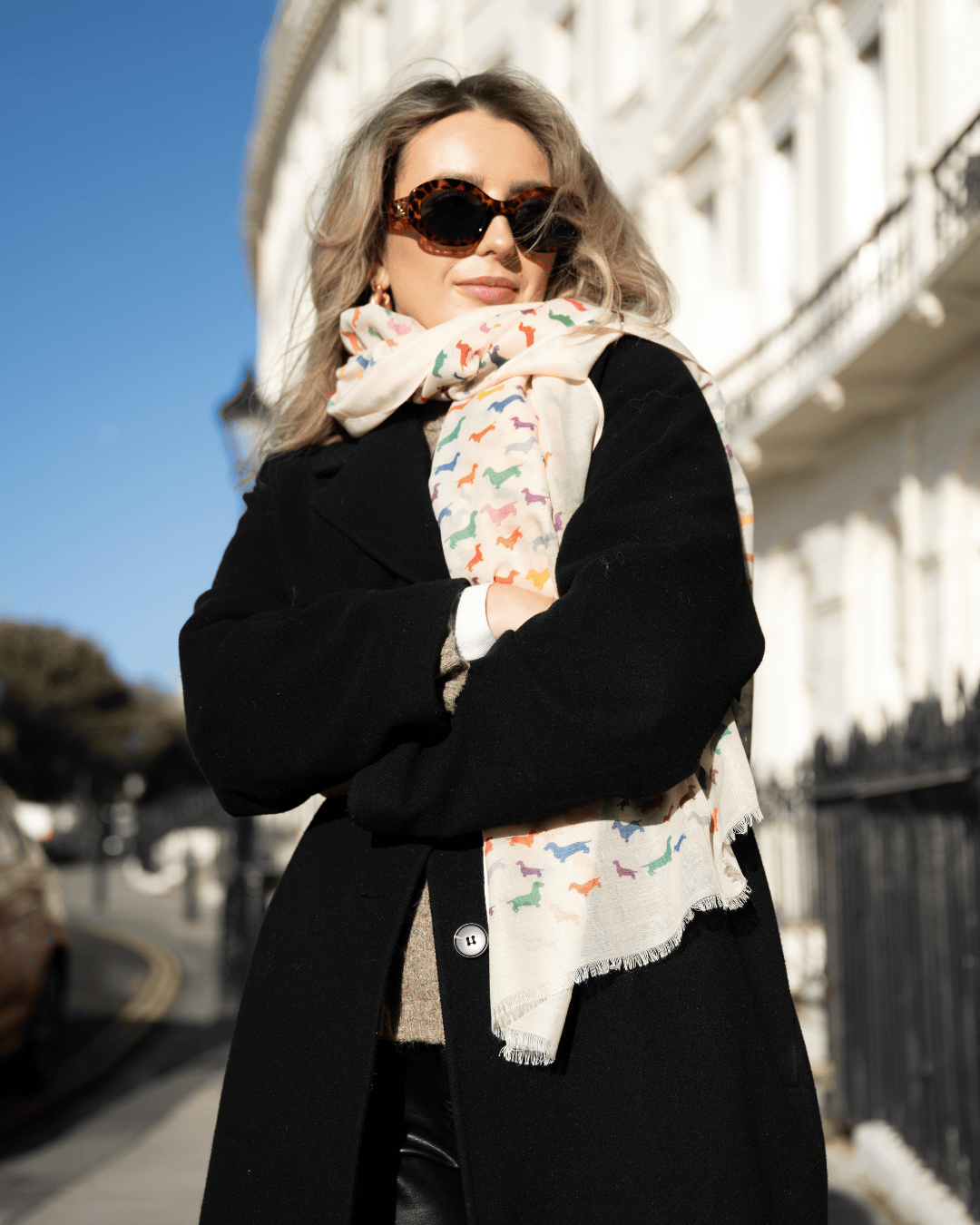 Bishops and Haig Scarves Bishops and Haig Dachshund Artwork Scarf