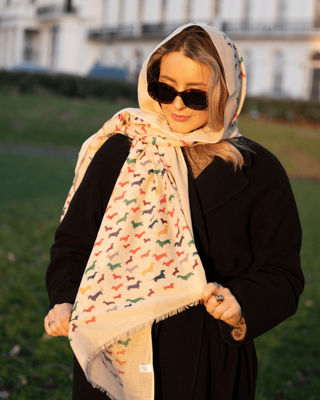 Bishops and Haig Scarves Bishops and Haig Dachshund Artwork Scarf