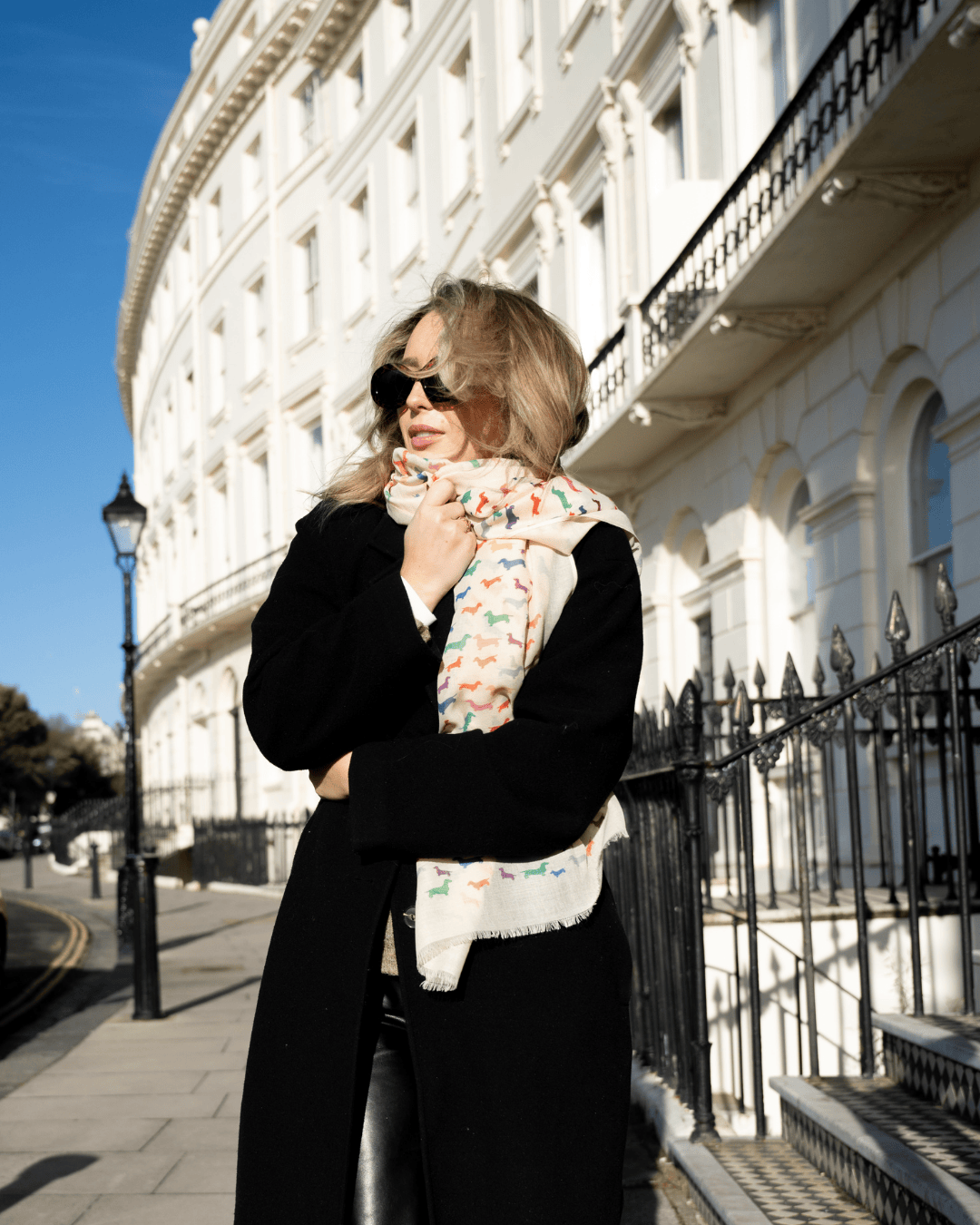 Bishops and Haig Scarves Bishops and Haig Dachshund Artwork Scarf