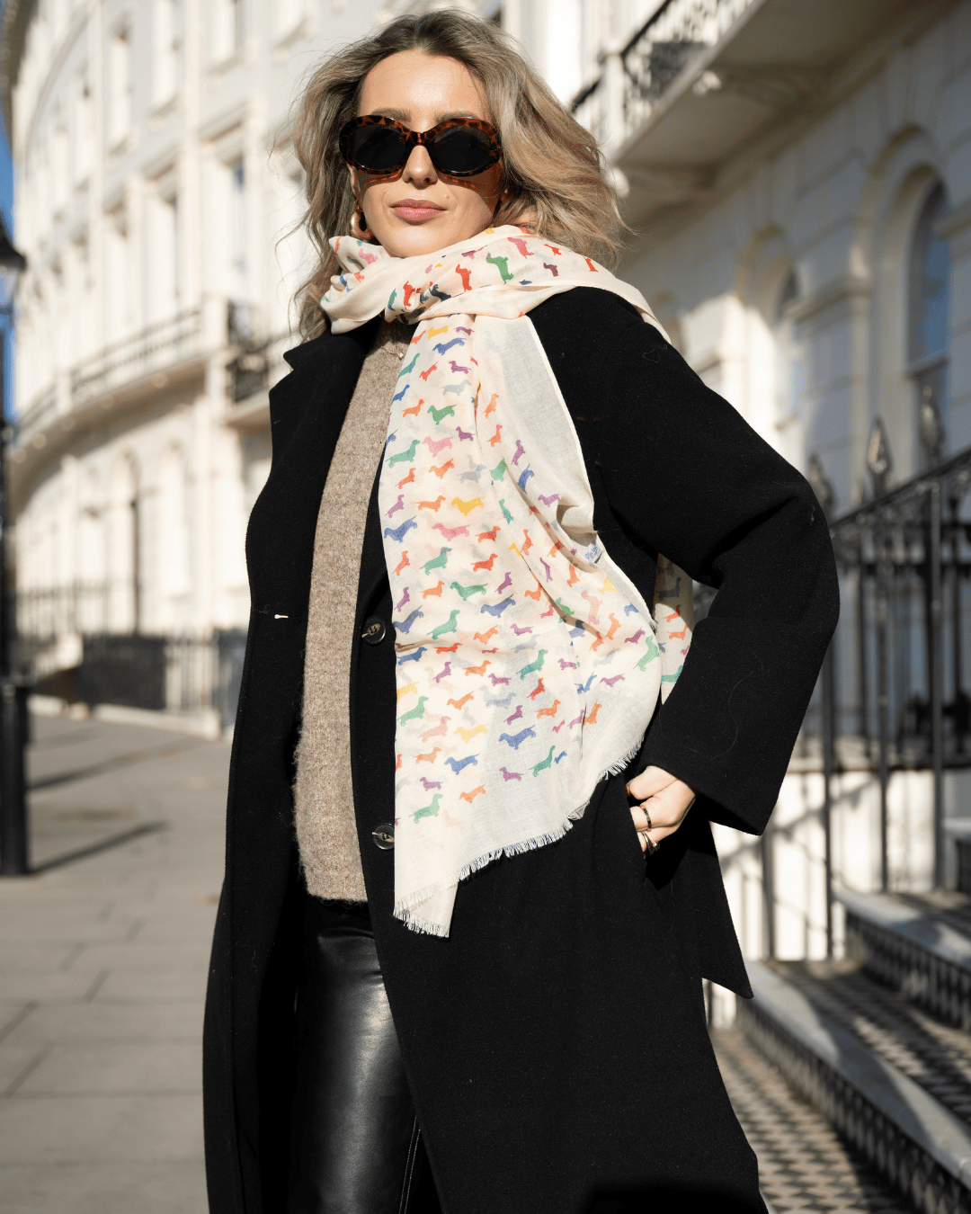 Bishops and Haig Scarves Bishops and Haig Dachshund Artwork Scarf