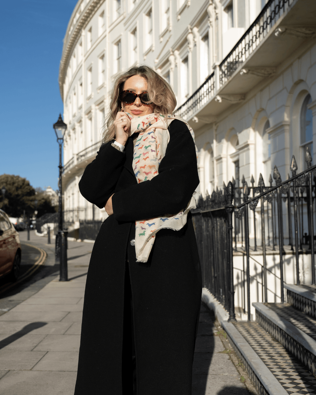 Bishops and Haig Scarves Bishops and Haig Dachshund Artwork Scarf